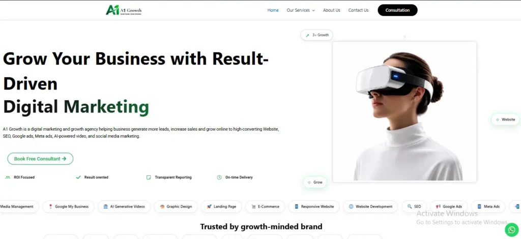 Agency web 2